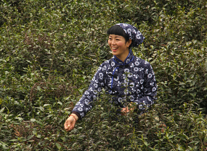 更新10